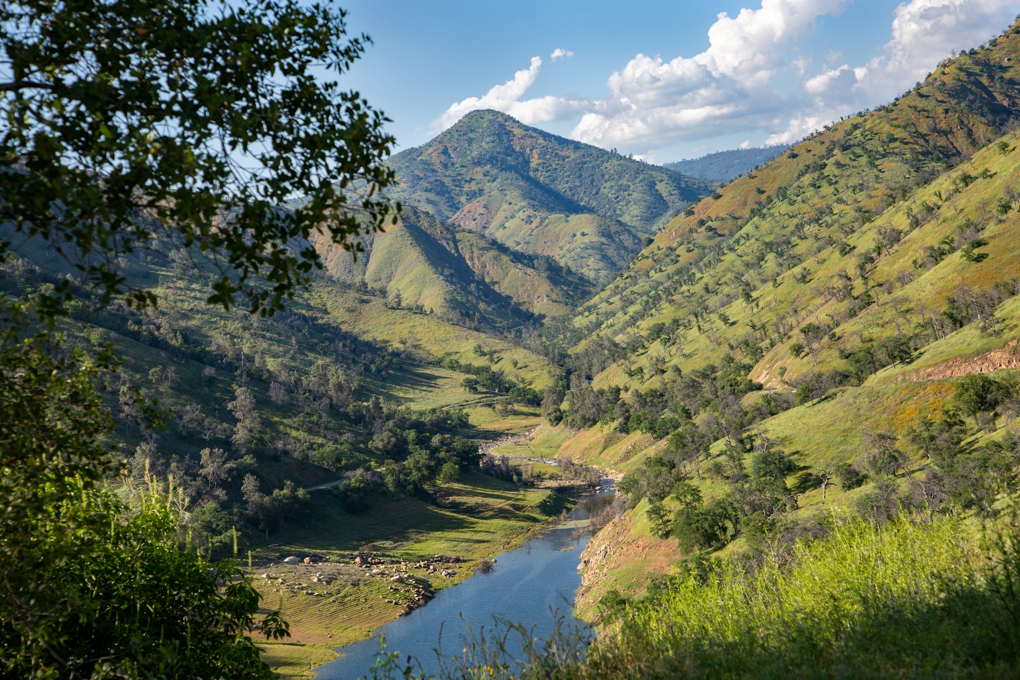 These wide plains are ideal for gazelles, buffaloes, and predators on the move.