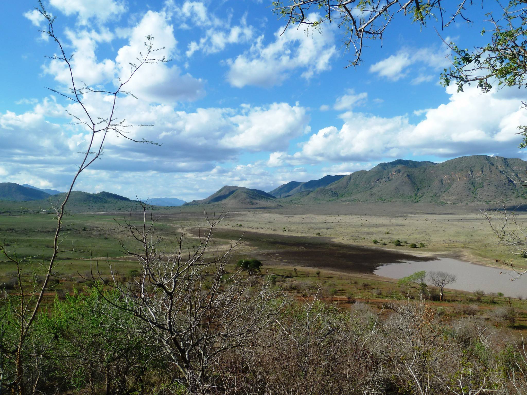 These are higher open elevations undulating grasslands with incised valleys.