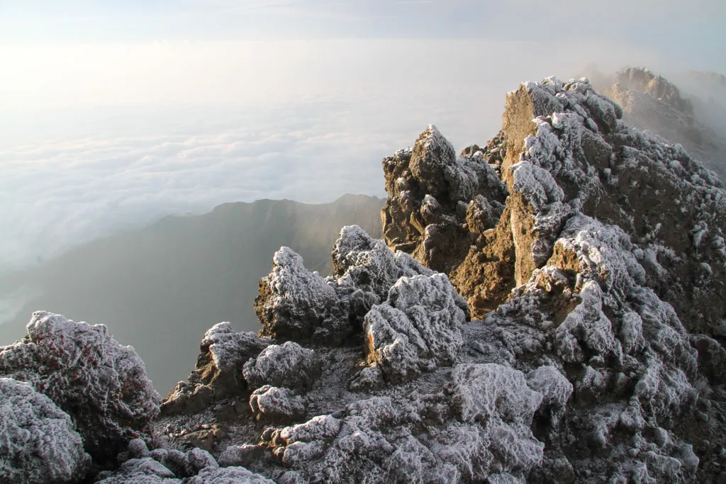 A barren, rocky environment with sparse vegetation. The temperature is cold, and the air is dry.