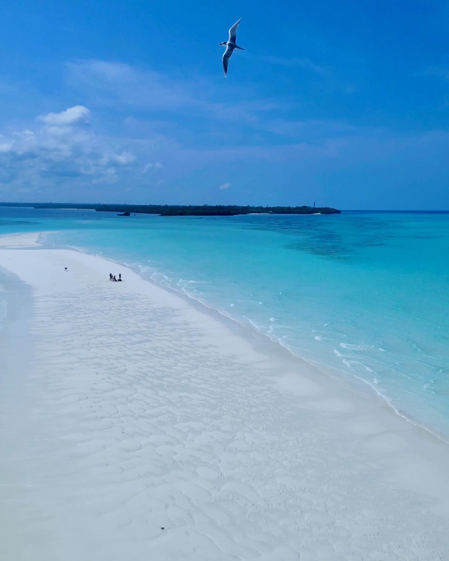 Pemba Island is renowned for its exquisite beaches and pristine waters