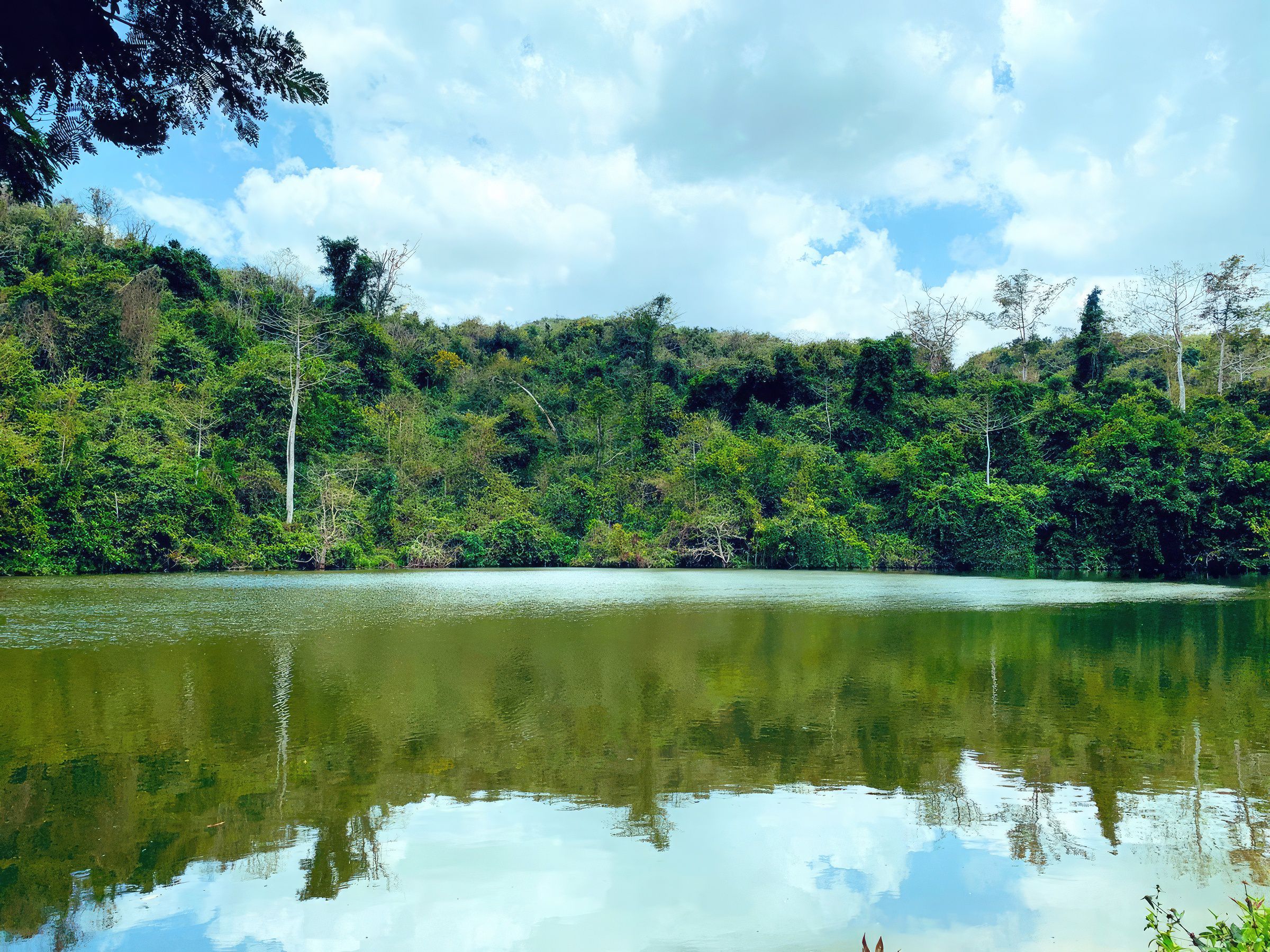 Pugu Kazimzumbwi is the oldest lowland Coastal Forests of Tanzania 