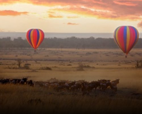 wba-day-by-day-bg-57