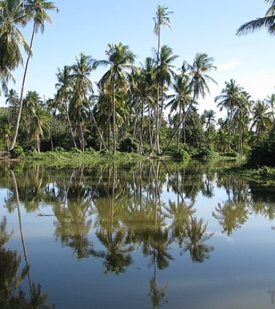 wba-img-104 wba-img-104