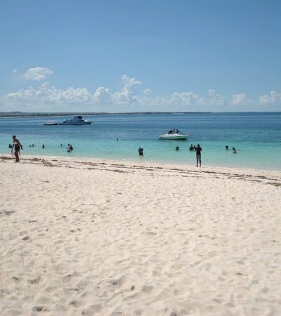 wba-img-105 wba-img-105