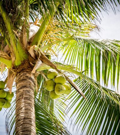 wba-img-106 wba-img-106