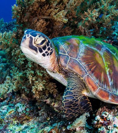 wba-img-107 wba-img-107