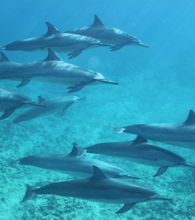 wba-img-108 wba-img-108