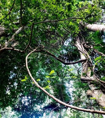 wba-img-112 wba-img-112