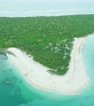 wba-img-98 wba-img-98